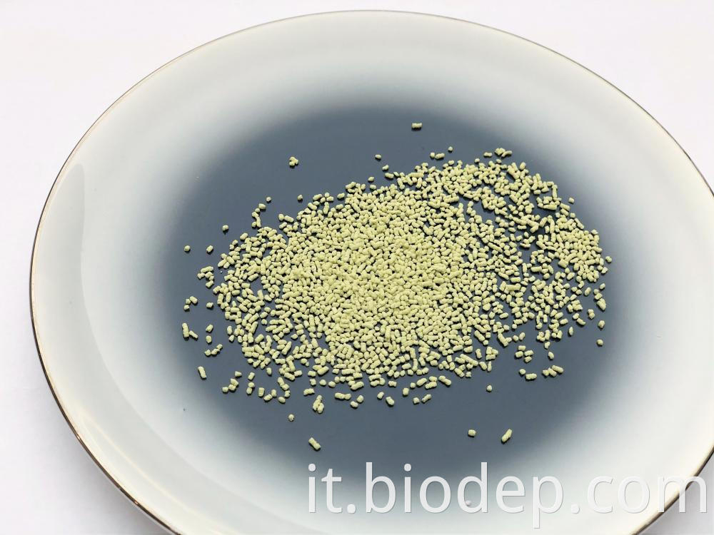Bacillus Coagulans